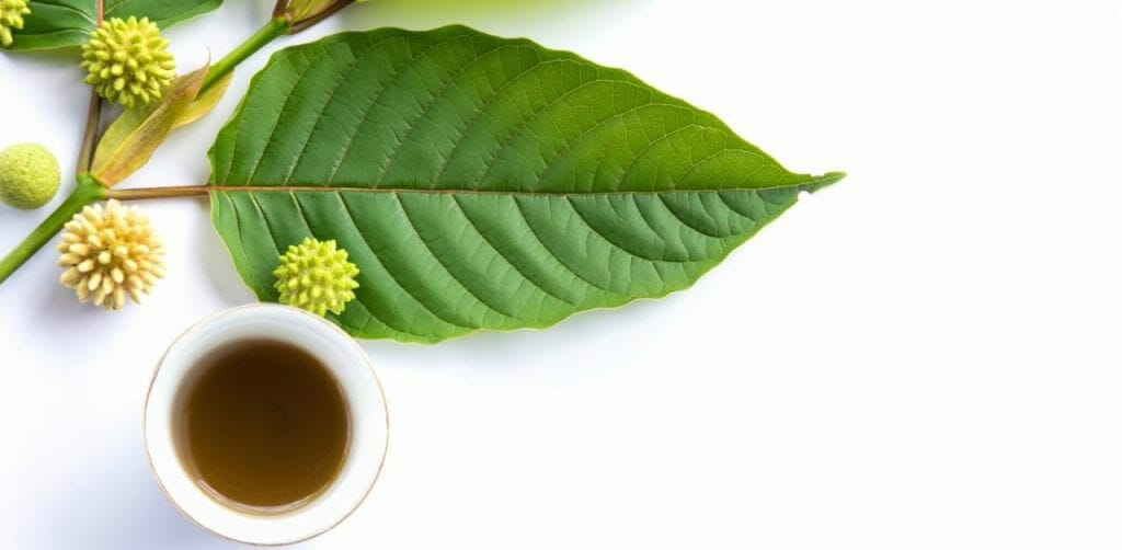 רפואה טבעית - מכללת ברק