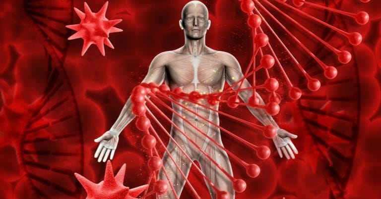 אנטומיה פיזיולוגיה - מכללת ברק